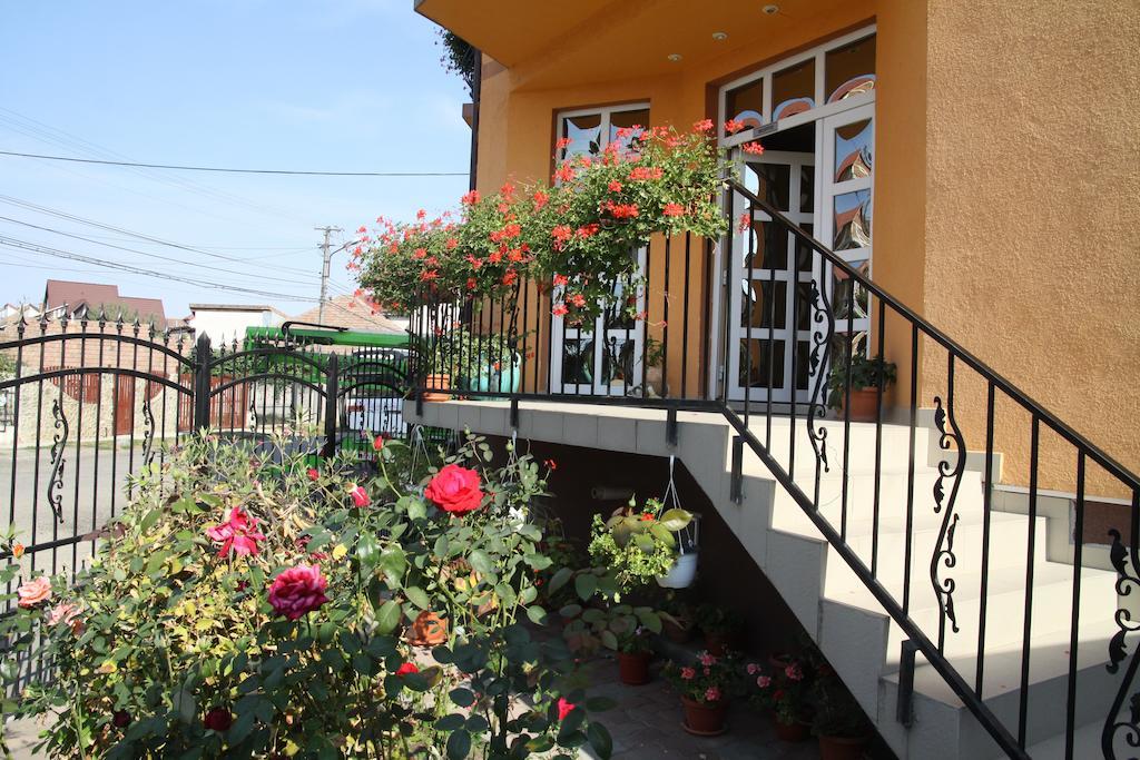Pensiunea Amso Sibiu Luaran gambar