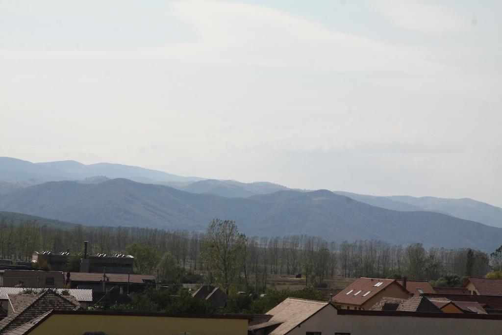 Pensiunea Amso Sibiu Luaran gambar